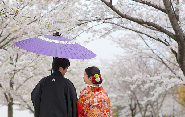 着物＆紋付プラン