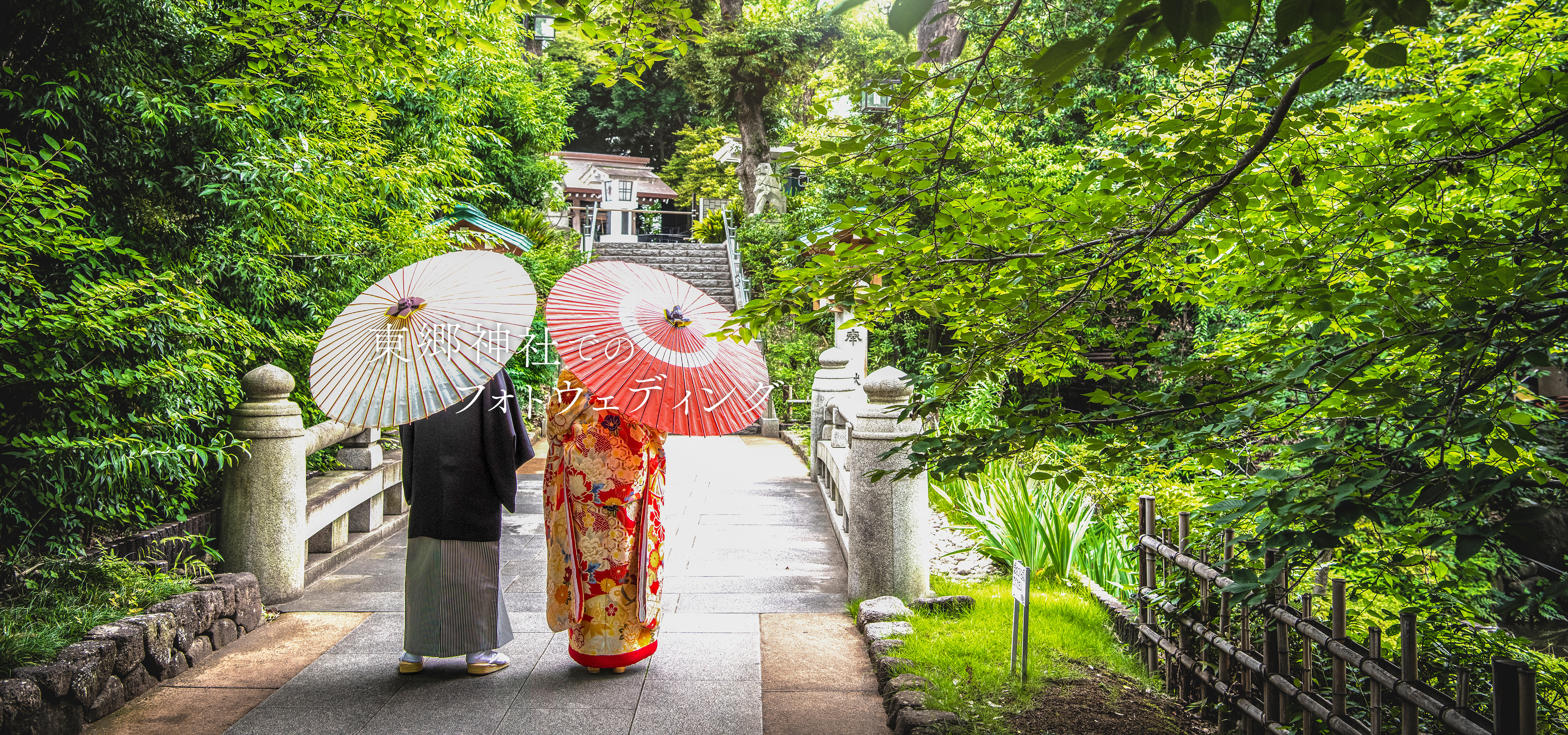 東郷神社でのフォトウェディング