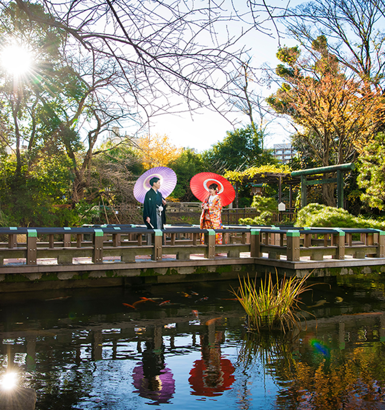 東郷神社でのフォトウェディング