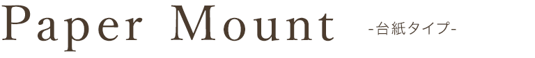 台紙タイプ