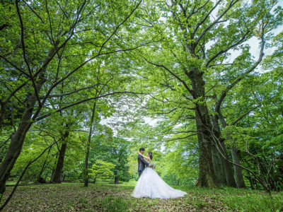 SH3_2368 のコピー